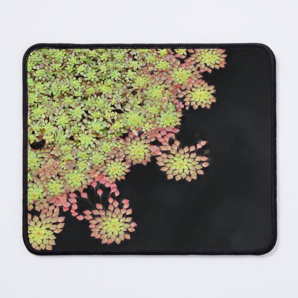 Item preview, Water plant in reflection pool designed and sold by Dude620.