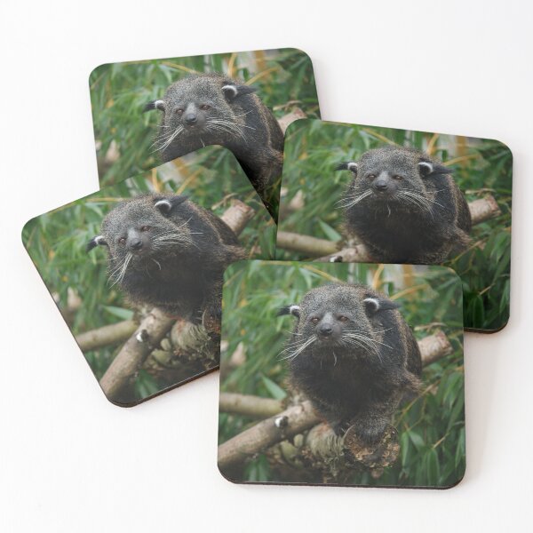 Item preview, Binturong designed and sold by rawshutterbug.