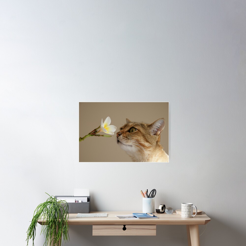 I sniffzit then I eetzit ... Poster