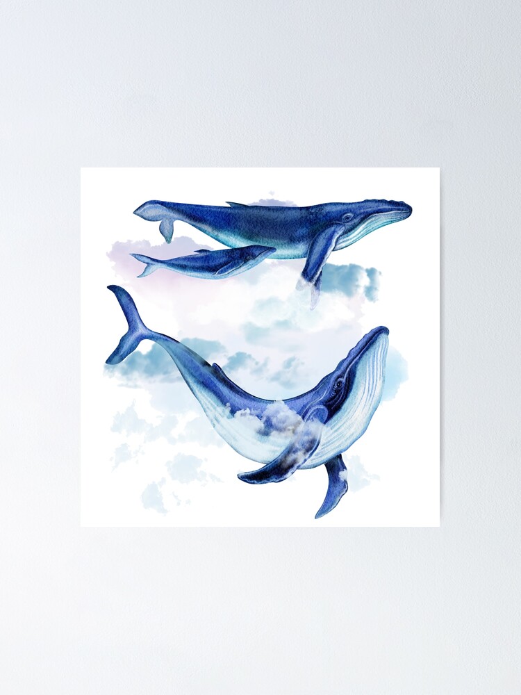 Póster «Pareja de ballena azul con bebé en las nubes Pintura de acuarela» de HappyNoireArt | Redbubble Póster «Pareja de ballena azul con bebé en las nubes Pintura de acuarela» de HappyNoireArt | Redbubble