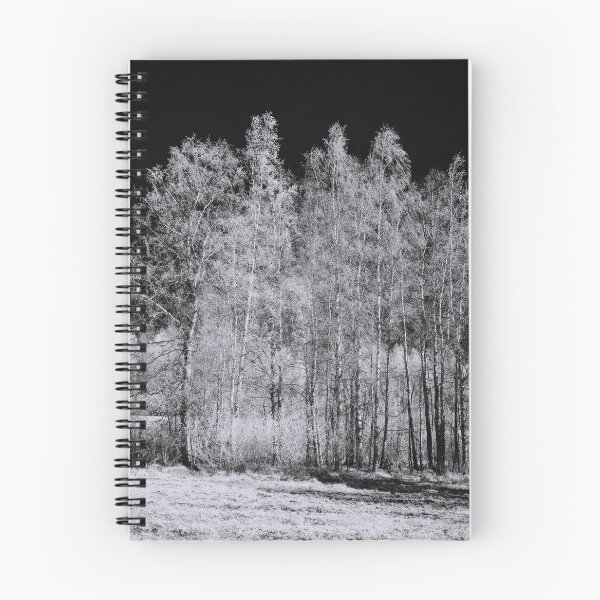 Item preview, Birches birches II. Infrared photography bw designed and sold by Jouko Lehto Photography.