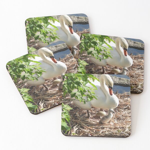 Item preview, First Cygnet Hatched designed and sold by PhotosBySusanne.
