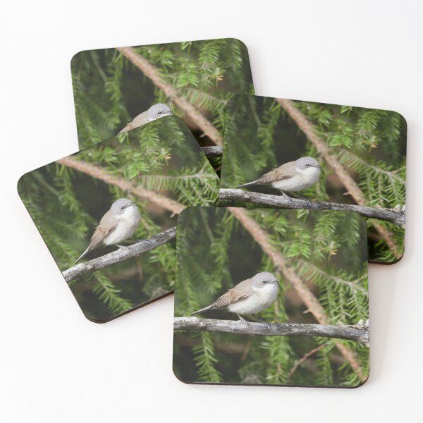 Item preview, Maybe lesser but not to be ignored. Lesser whitethroat designed and sold by Jouko Lehto Photography.