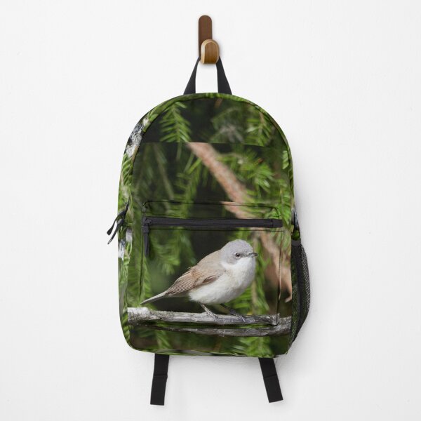 Item preview, Maybe lesser but not to be ignored. Lesser whitethroat designed and sold by Jouko Lehto Photography.