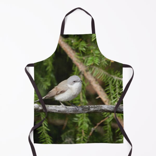 Item preview, Maybe lesser but not to be ignored. Lesser whitethroat designed and sold by Jouko Lehto Photography.