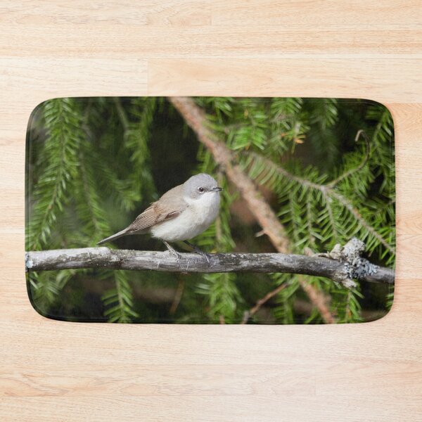 Item preview, Maybe lesser but not to be ignored. Lesser whitethroat designed and sold by Jouko Lehto Photography.