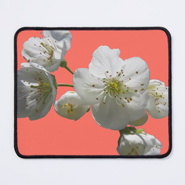 Item preview, cherries in blosssom on living coral designed and sold by AHELENE.
