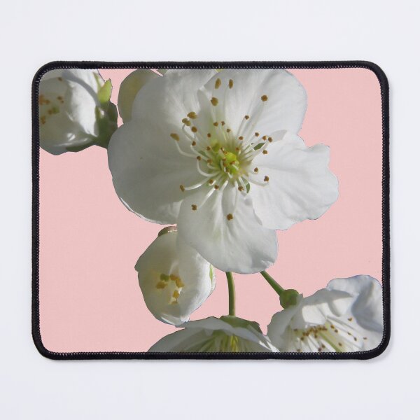 Item preview, cherries in blosssom on rose quartz designed and sold by AHELENE.