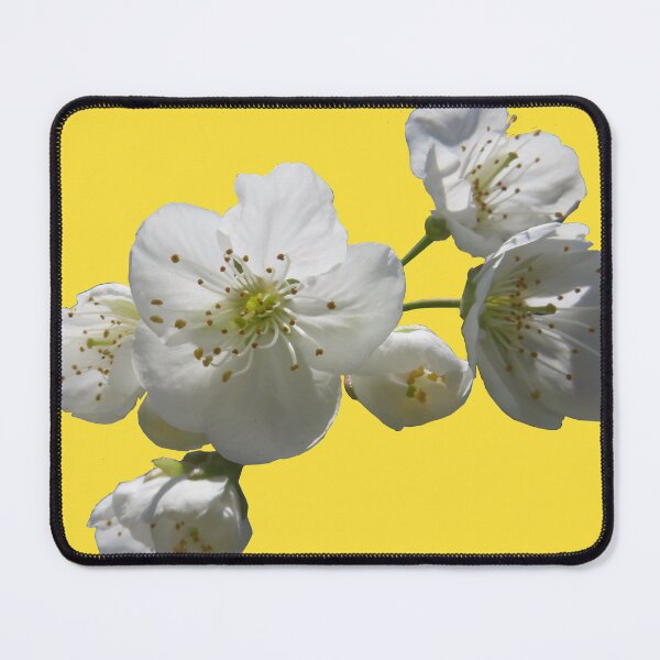 Item preview, cherries in blosssom on buttercup yellow designed and sold by AHELENE.