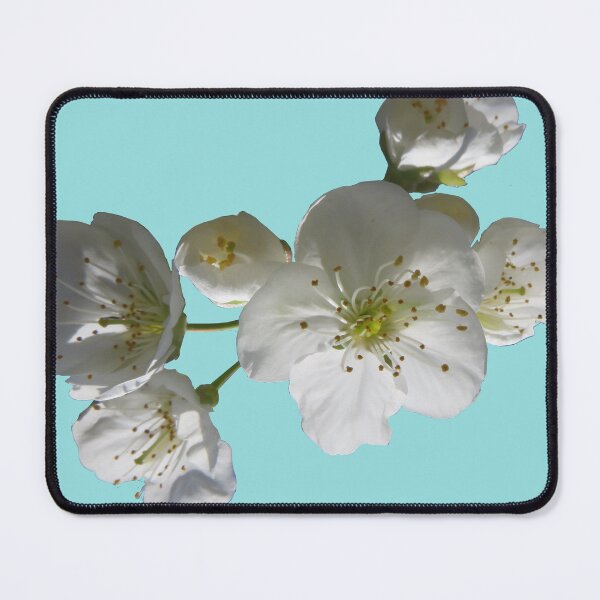 Item preview, cherries in blosssom on limpet shell designed and sold by AHELENE.