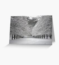 Wintersday Greeting Card