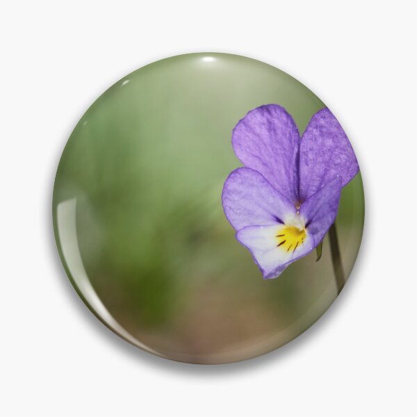 Item preview, Heartsease alone designed and sold by Jouko Lehto Photography.