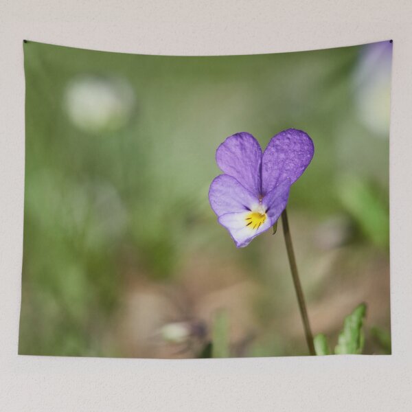Item preview, Heartsease alone designed and sold by Jouko Lehto Photography.