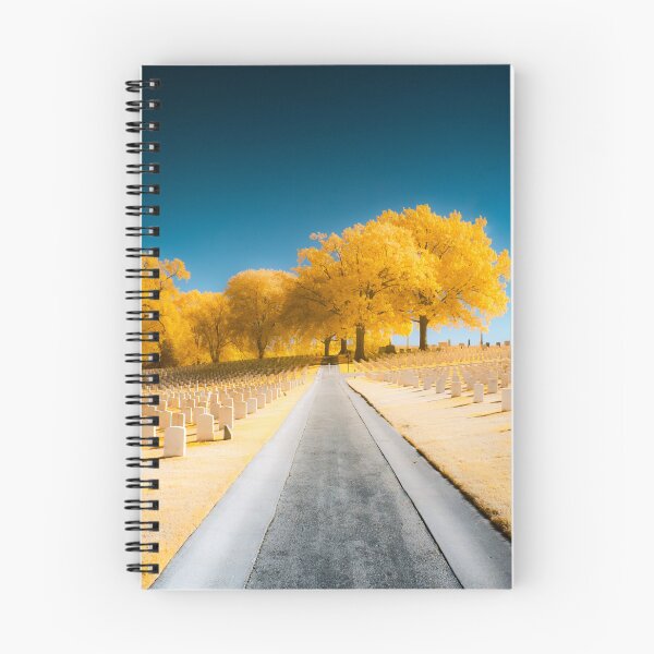Item preview, National Cemetery in infrared 590mn designed and sold by Dude620.