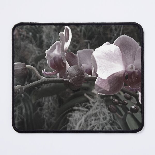 Item preview, Orchid show designed and sold by Dude620.