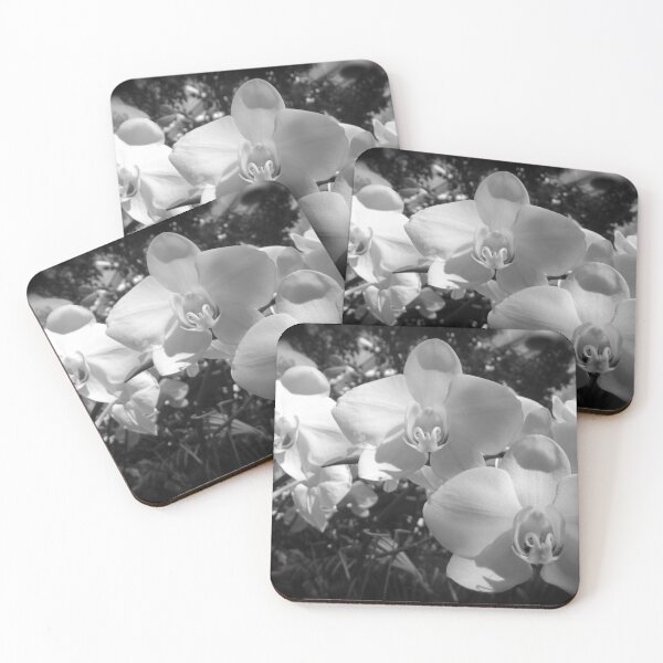Artikelvorschau, BW orchids entworfen und verkauft von Dude620.