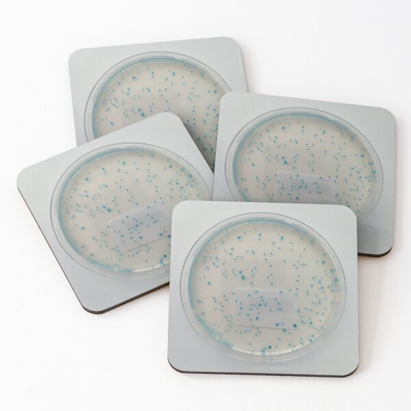Item preview, E.coli on TBX plate designed and sold by Fromthelab.