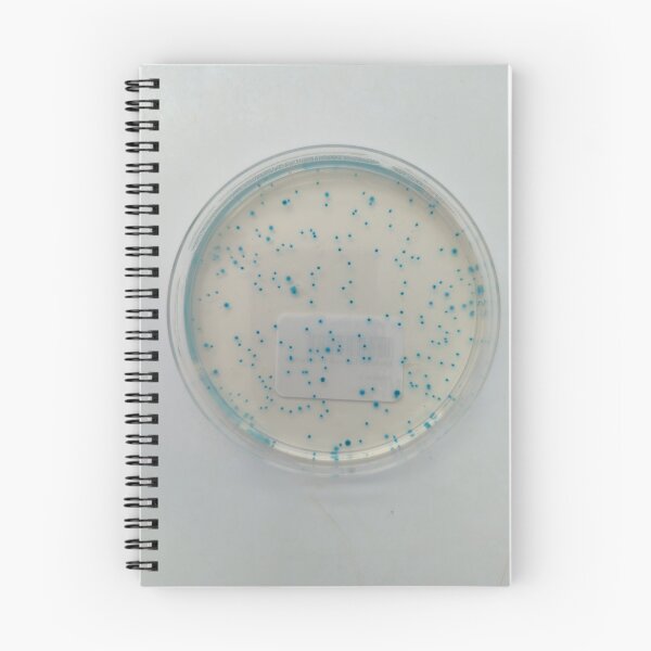 Item preview, E.coli on TBX plate designed and sold by Fromthelab.
