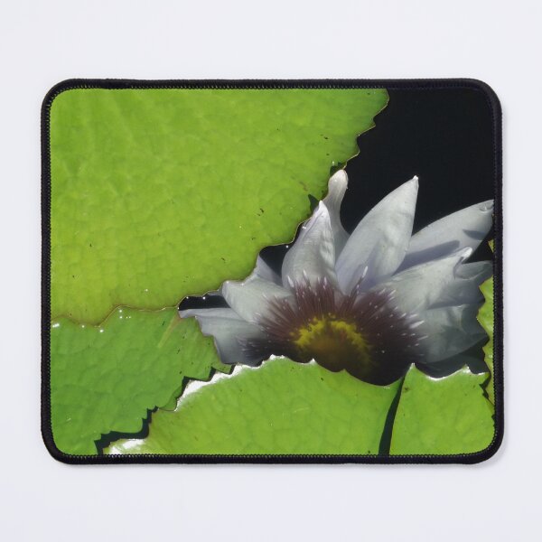 Item preview, Submerged bloom designed and sold by Dude620.