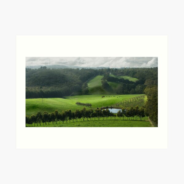 Adelaide Hill's in Green. Art Print