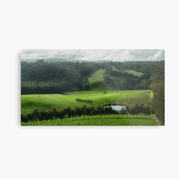 Adelaide Hill's in Green. Metal Print