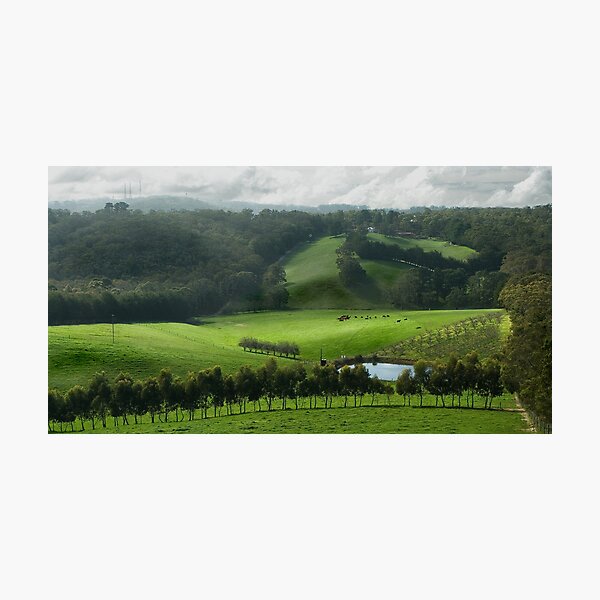 Adelaide Hill's in Green. Photographic Print