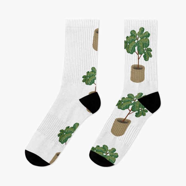 Item preview, Fiddle Leaf Fig Plant designed and sold by RebekahLanden.