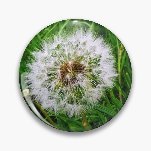 Artikelvorschau, Puffball entworfen und verkauft von carlisleprints.