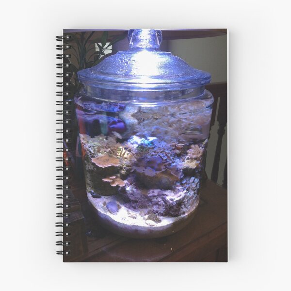 Aperçu de l'œuvre My coral reef in a cookie jar créée et vendue par Dude620.