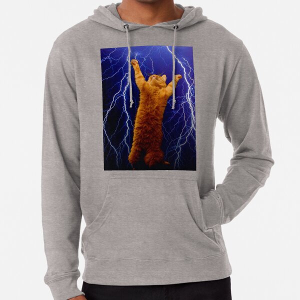 Cat lightning sweater online
