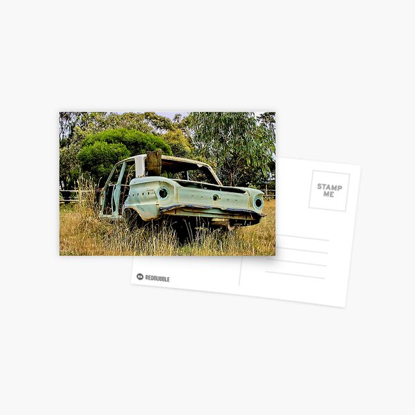 "Put Out To Pasture" Postcard