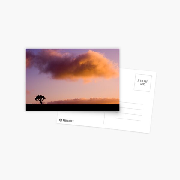 Solitary Postcard