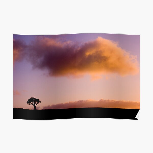 Solitary Poster