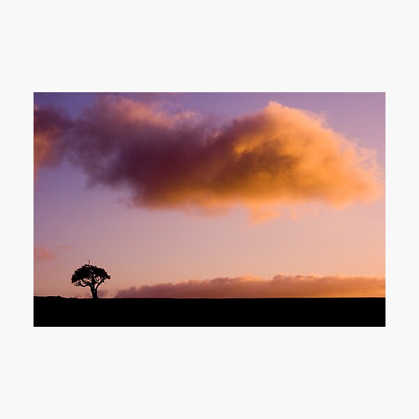 Solitary Photographic Print
