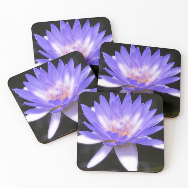 Item preview, Vibrant purple water lily designed and sold by Dude620.