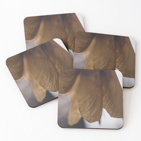Item preview, Flutter designed and sold by KazzaKphotos.