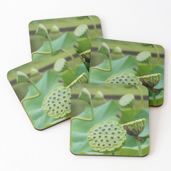 Item preview, Lotus pods designed and sold by Dude620.