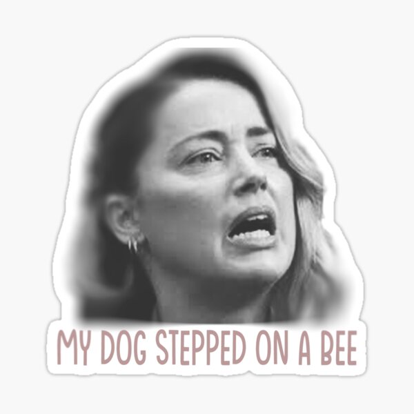 Dog Stepped On A Bee GIF