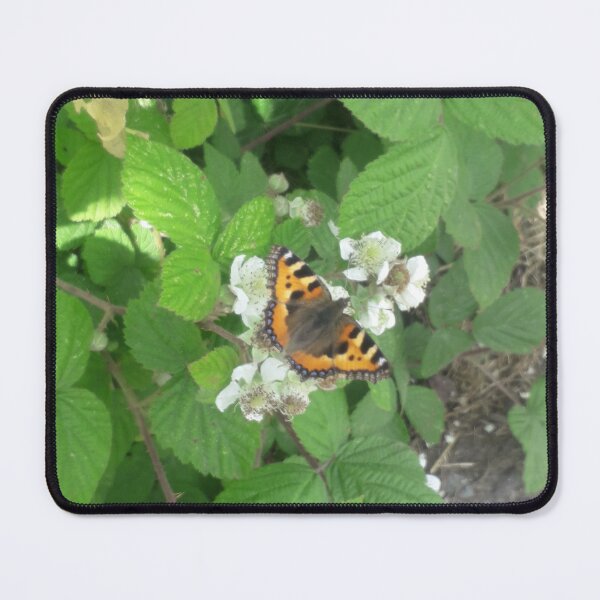 Item preview, KABFA Designs and Volksbolts, Butterfly on Hawthorn designed and sold by KABFA Designs.
