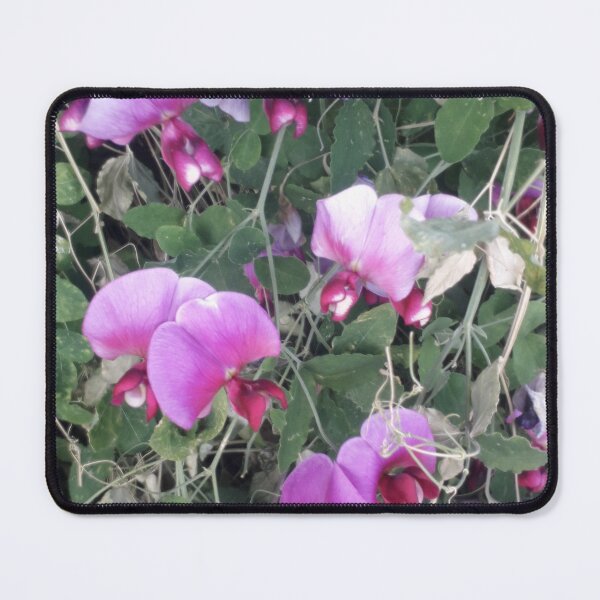 Item preview, KABFA Designs and Volksbolts, Vintage English Country Garden SweetPeas,  Flowers, flower, designed and sold by KABFA Designs.