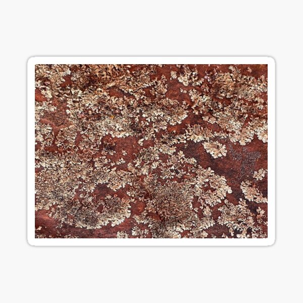 Item preview, Abstract Arizona rock nature image | copper ivory pattern | fungi | southwest pattern  designed and sold by hollycooper.