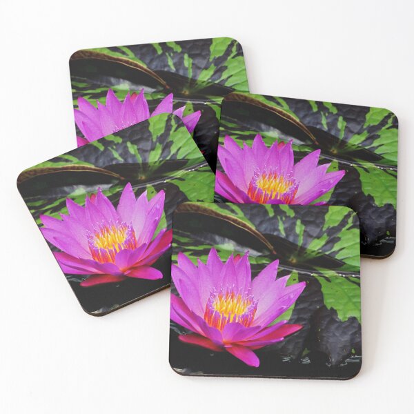 Item preview, Purple water lily designed and sold by Dude620.