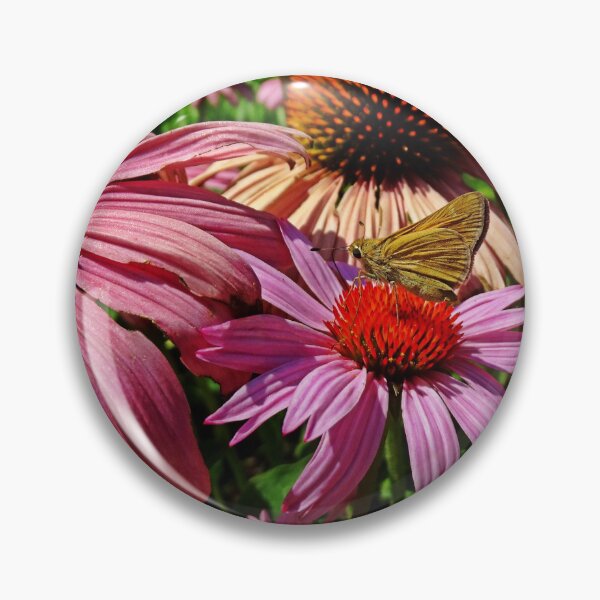 Artikelvorschau, Butterfly on purple cone flower entworfen und verkauft von Dude620.