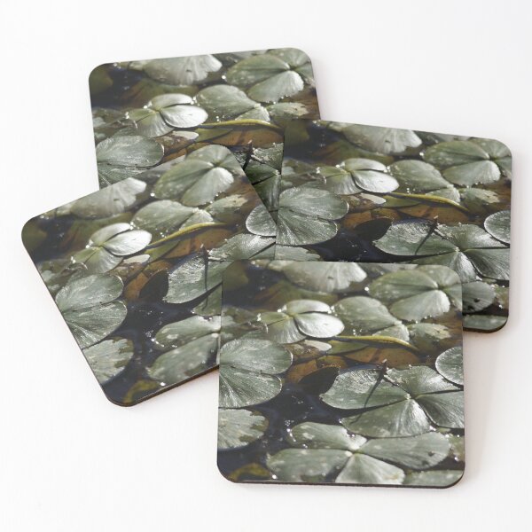 Item preview, Nardoo at Magpie Springs by Avril Thomas designed and sold by MagpieSprings.