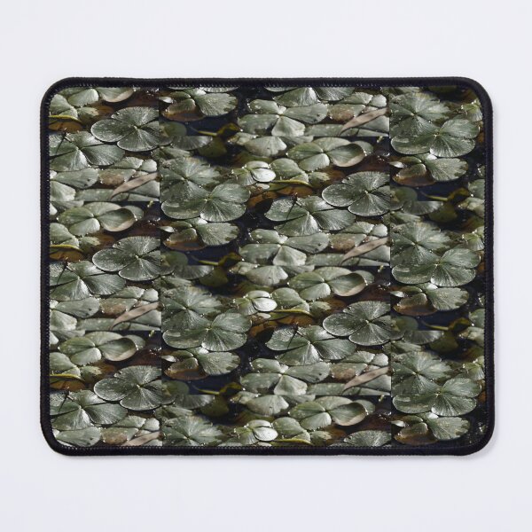 Item preview, Nardoo at Magpie Springs by Avril Thomas designed and sold by MagpieSprings.