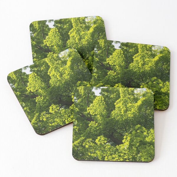 Item preview, Sunlit Maple Leaves Patterns designed and sold by Georgia Mizuleva.