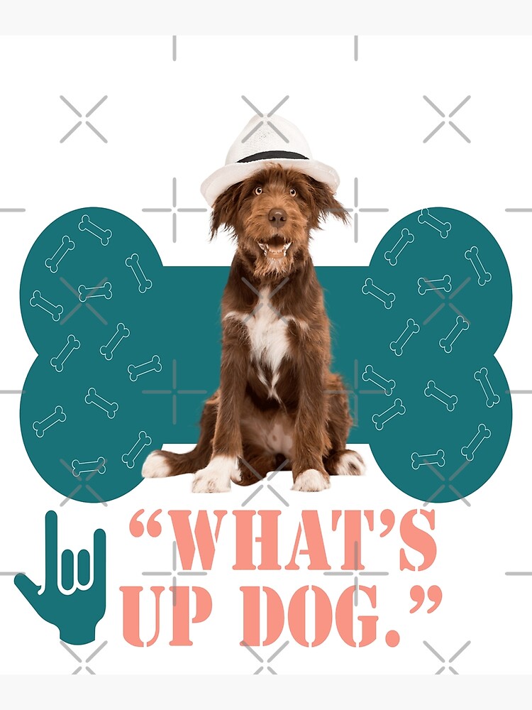 "WHAT’S UP DOG" Poster for Sale by Casanova7000 Redbubble