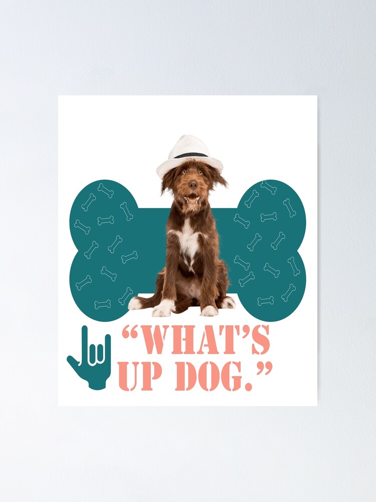 "WHAT’S UP DOG" Poster for Sale by Casanova7000 Redbubble