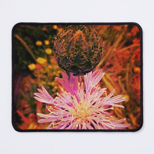 Item preview, Spiky at first then soft and beautiful  designed and sold by Dude620.