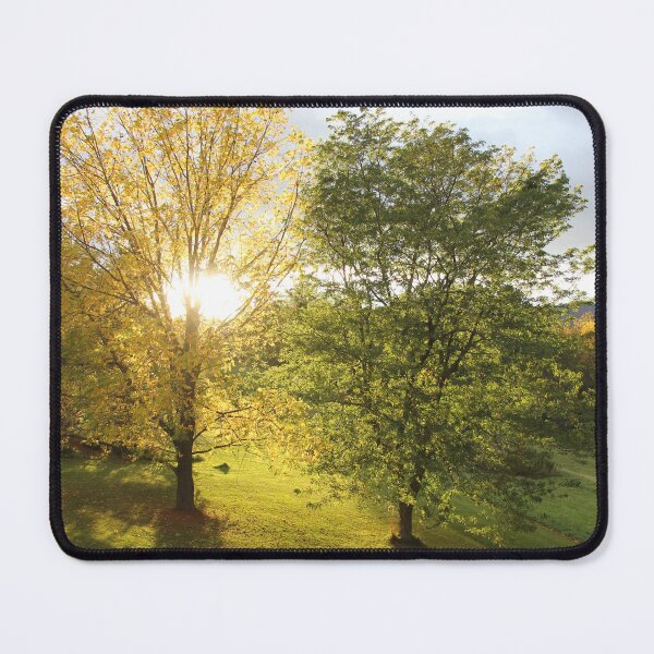 Item preview, Through the Trees designed and sold by Autumn Seas Photography.